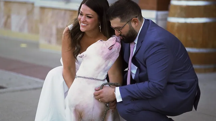 Wedding photo